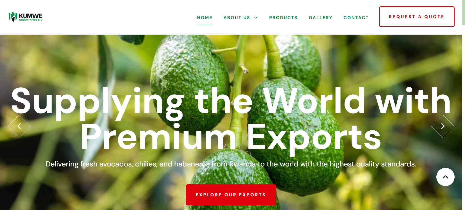 Client Website 1